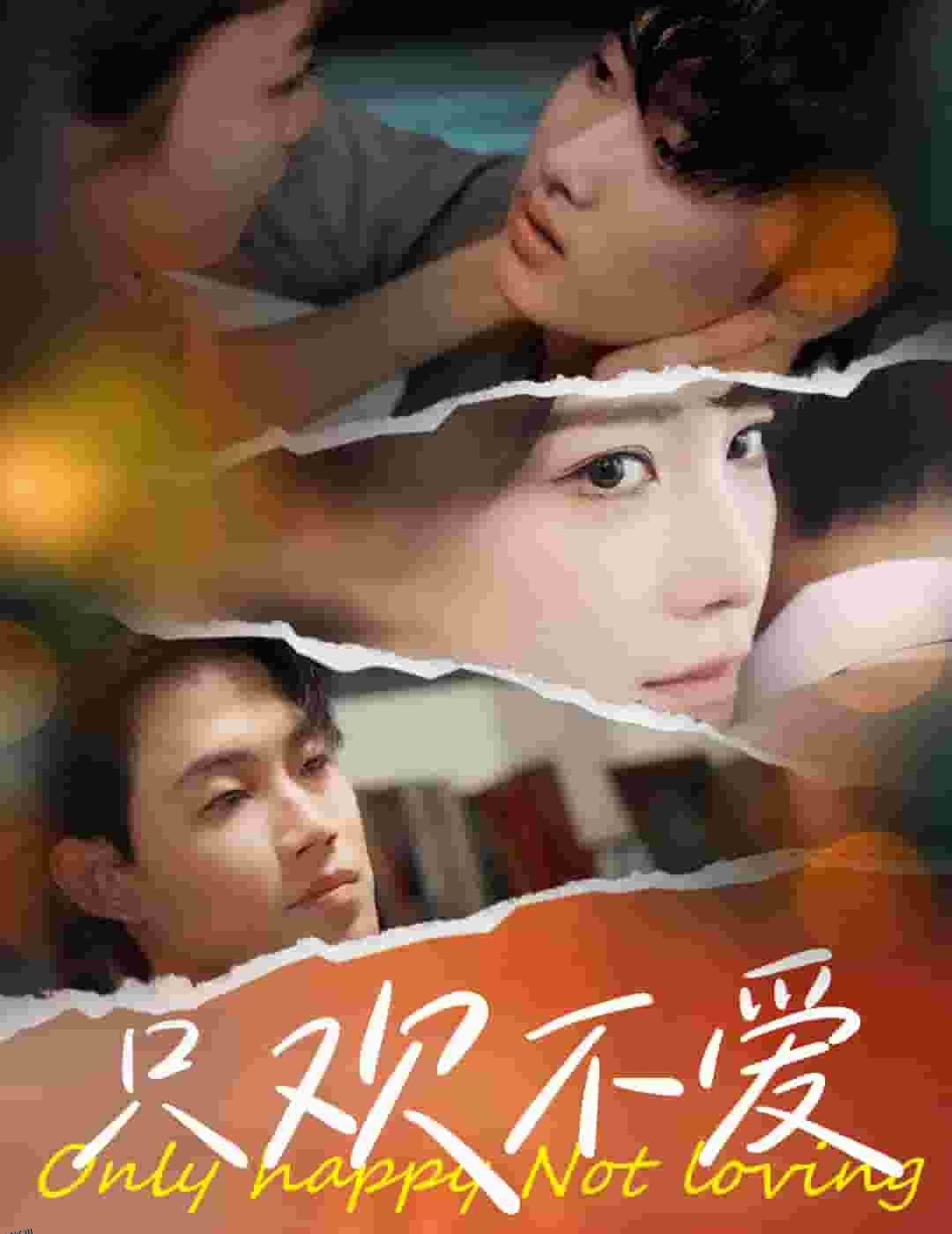 只欢不爱 海报