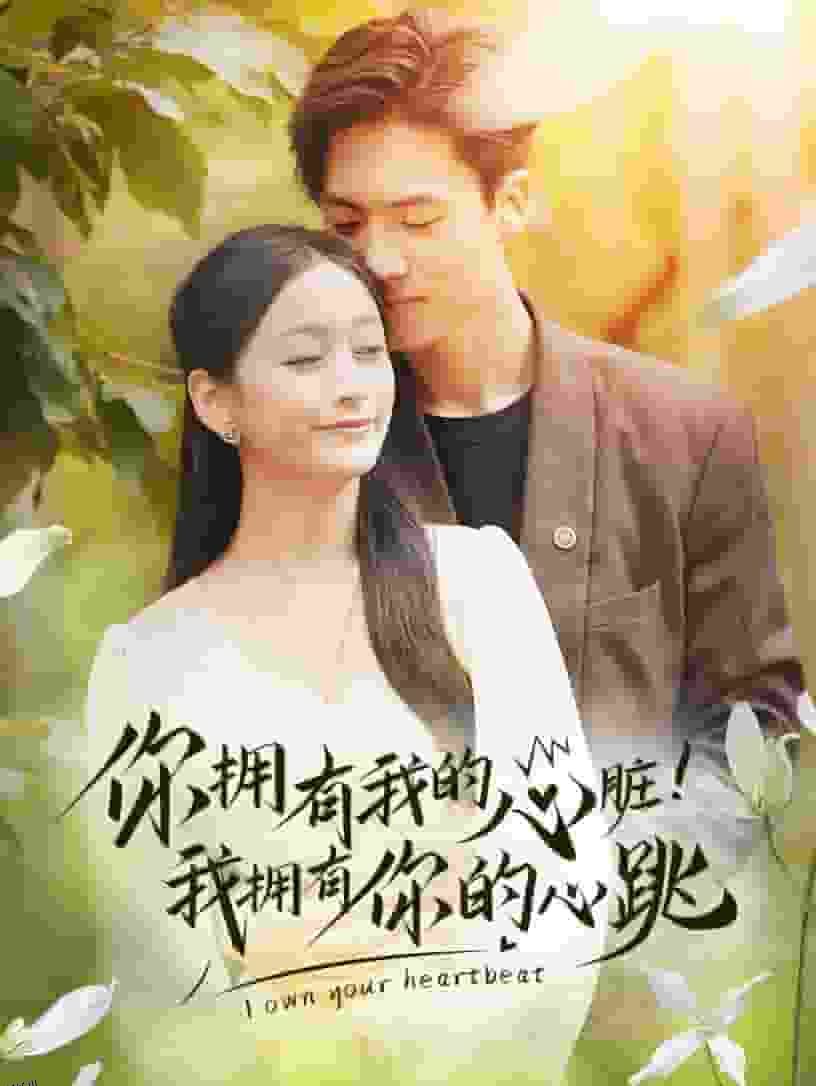 你拥有我的心脏！我拥有你的心跳 海报