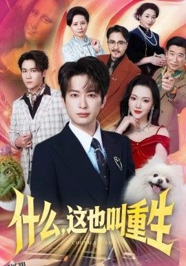 什么，这也叫重生 海报