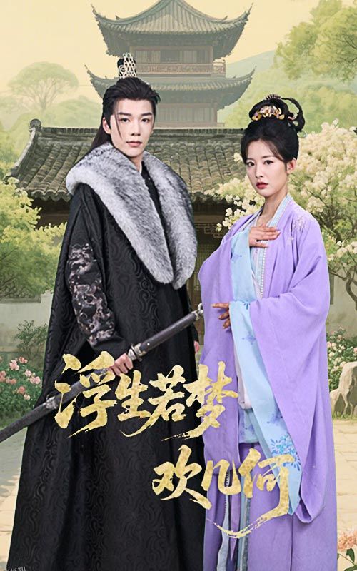 浮生若梦欢几何 海报