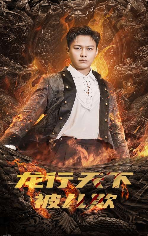 龙行天下被儿欺 海报