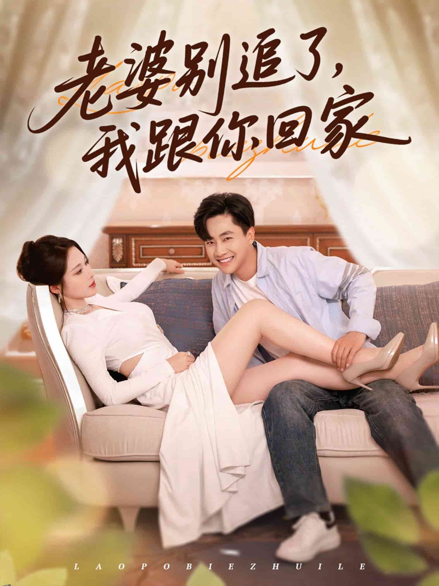 老婆别追了我跟你回家 海报