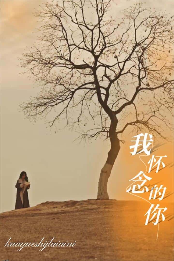 跨越时间来爱你 高清海报