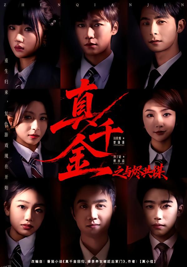 真千金之与烬共谋 海报