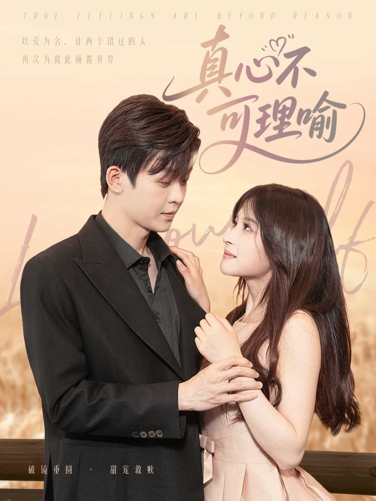 真心不可理喻 海报