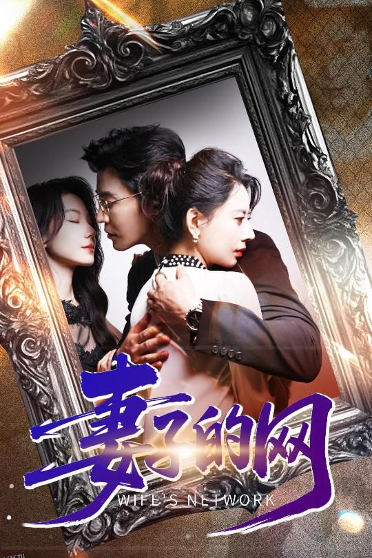 妻子的网 海报