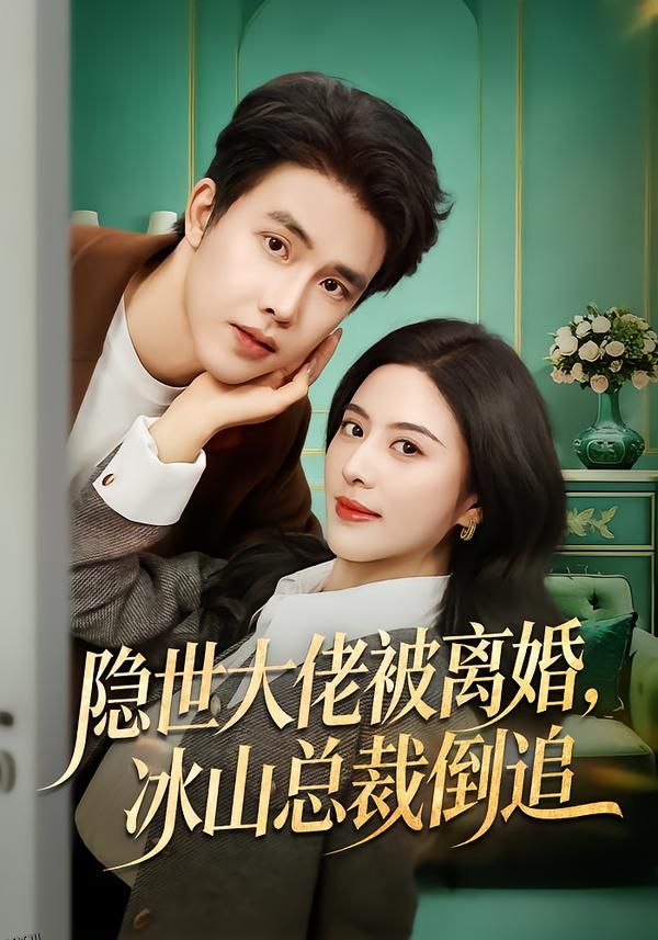 隐世大佬被离婚，冰山总裁倒追 海报