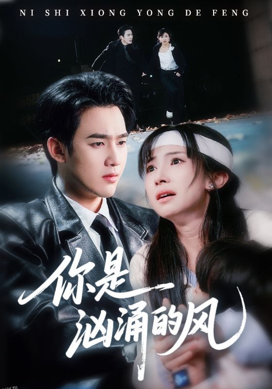 你是汹涌的风 海报