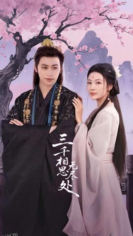 三千相思无尽处 海报