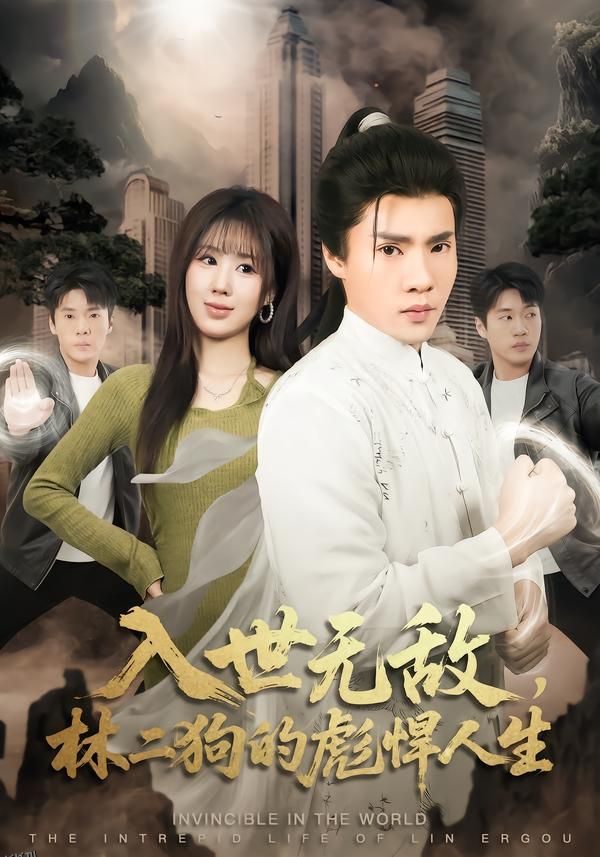 入世无敌，林二狗的彪悍人生 海报