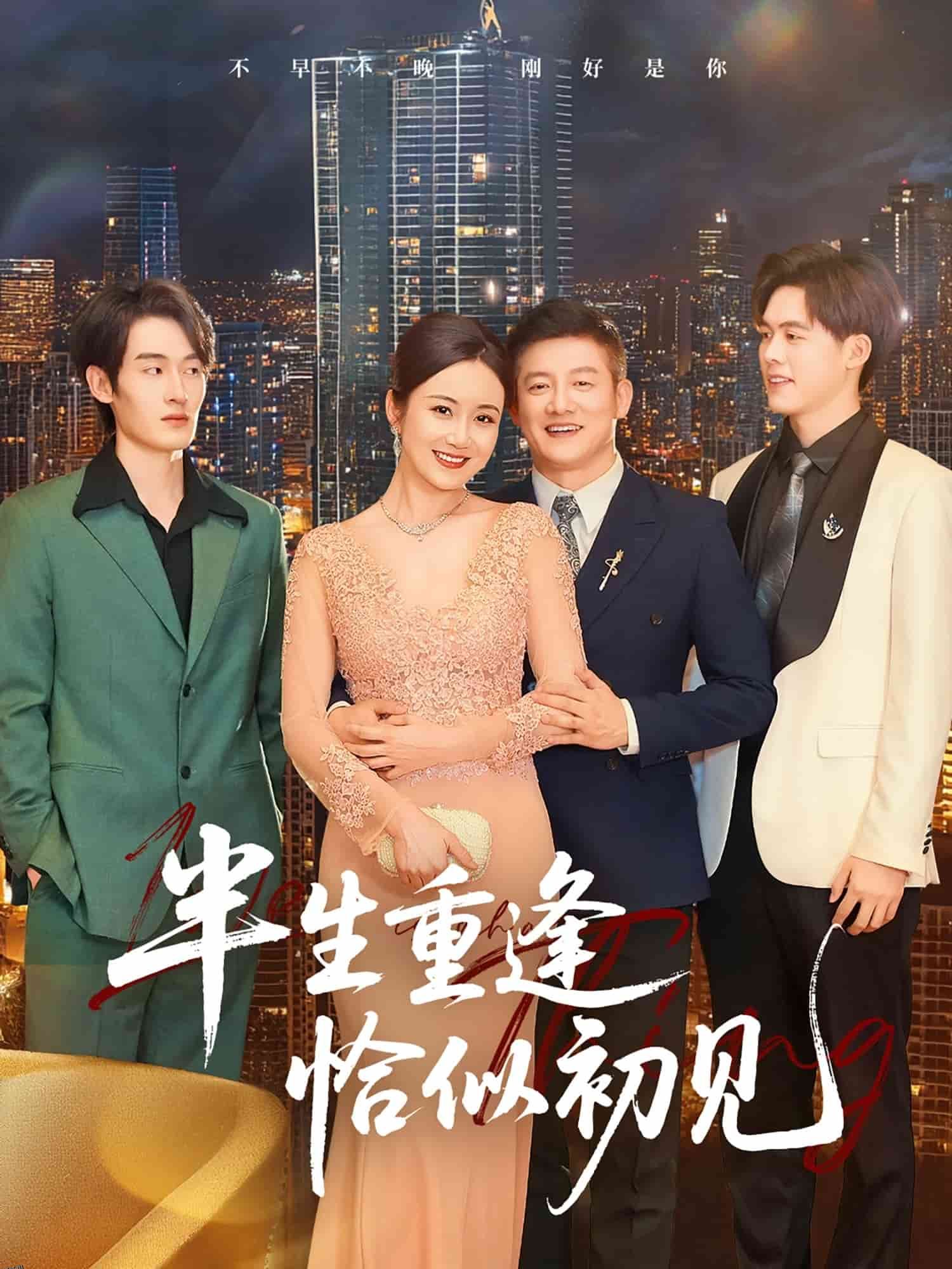 半生重逢恰似初见 海报