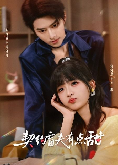 契约盲夫有点甜 海报