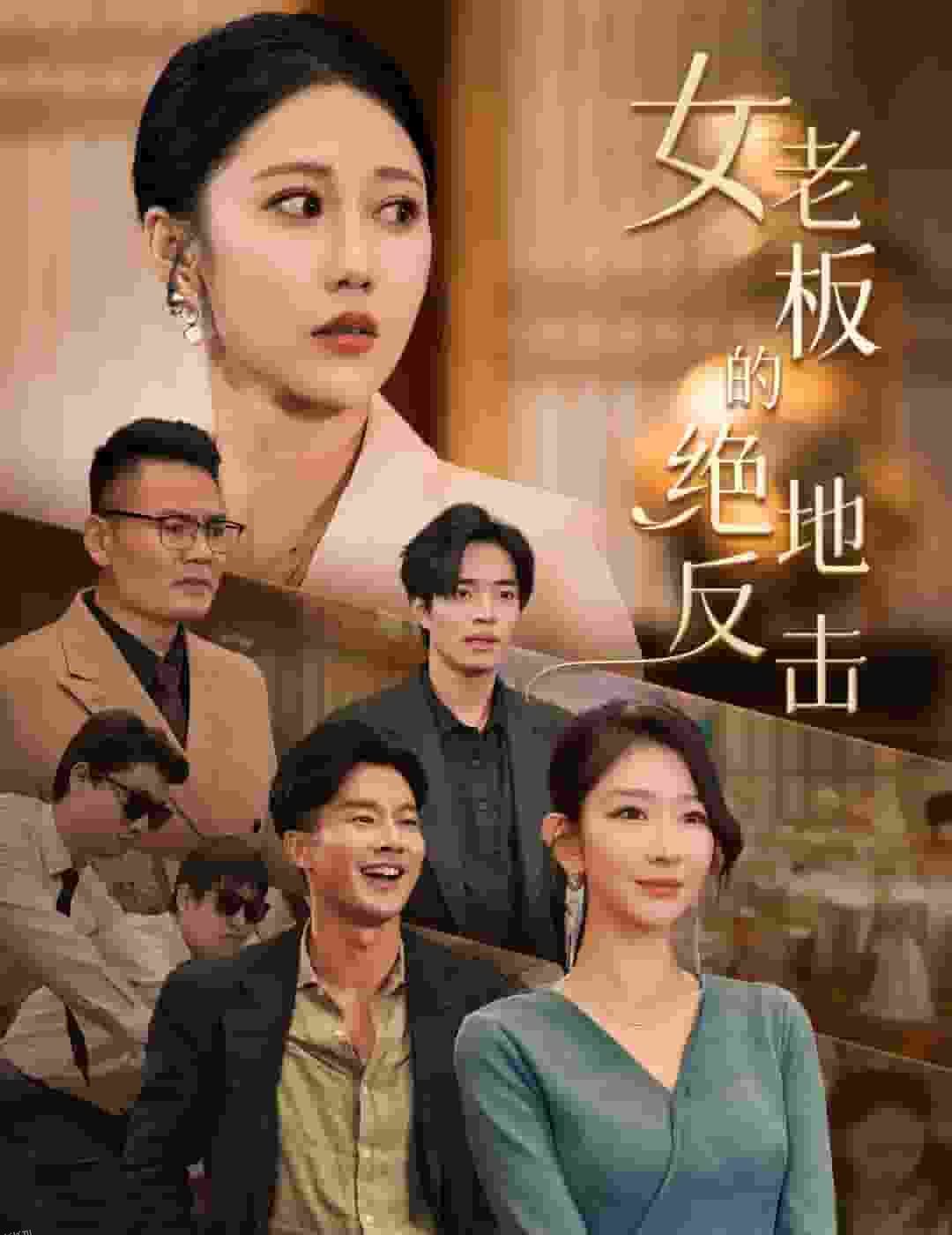 女老板的绝地反击 海报