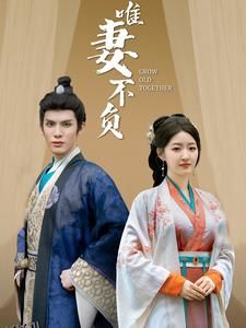 唯妻不负 高清海报