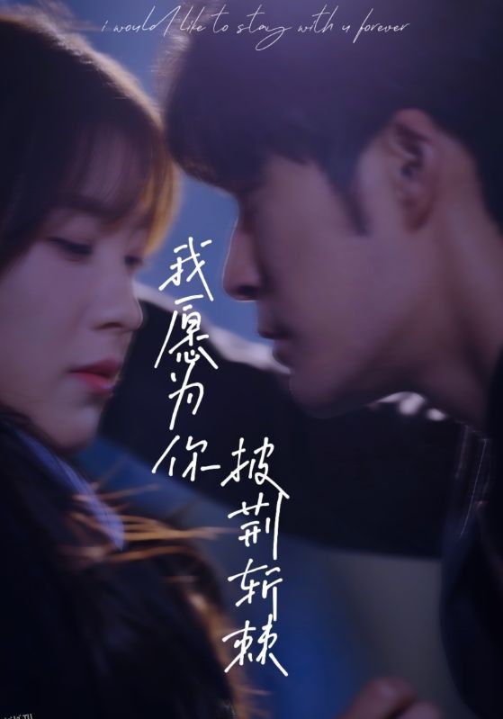 我愿为你披荆斩棘 海报