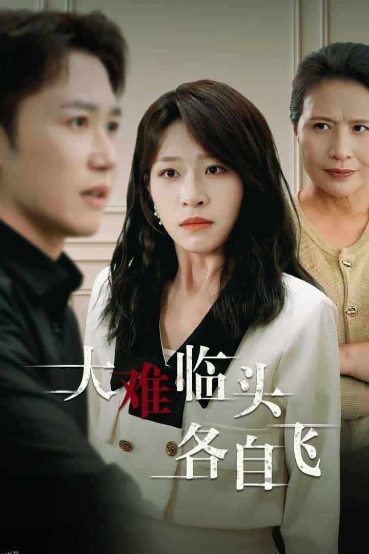 新：大难临头各自飞 海报