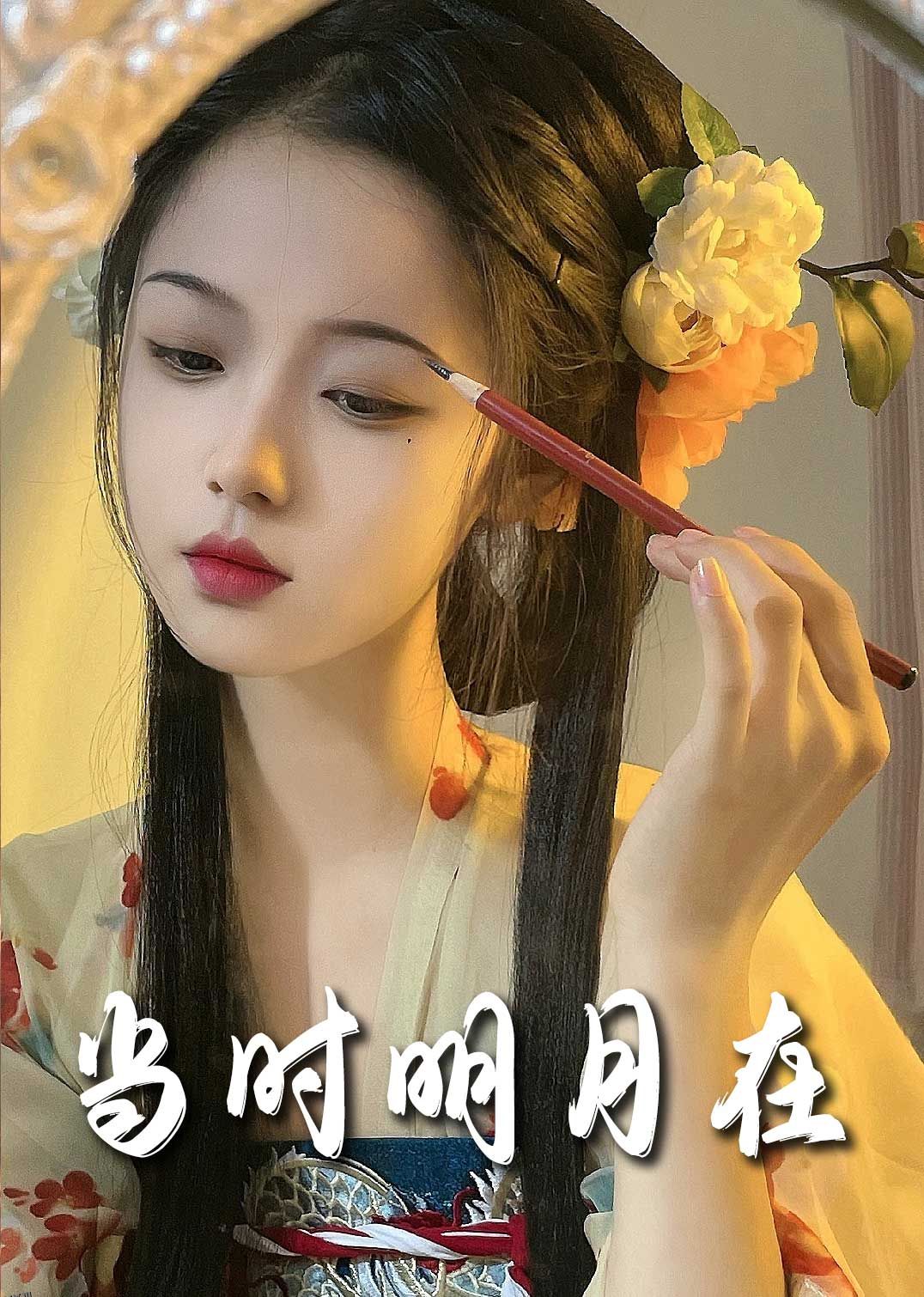 当时明月在 海报