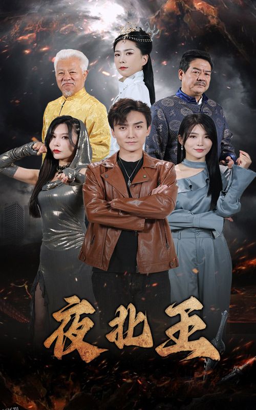夜北王 海报