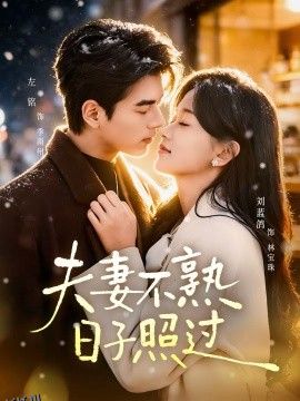 夫妻不熟，日子照过 海报