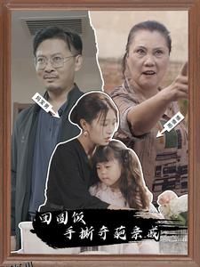 团圆饭手撕奇葩亲戚 海报