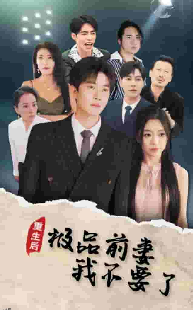 重生后极品前妻我不要了 高清海报