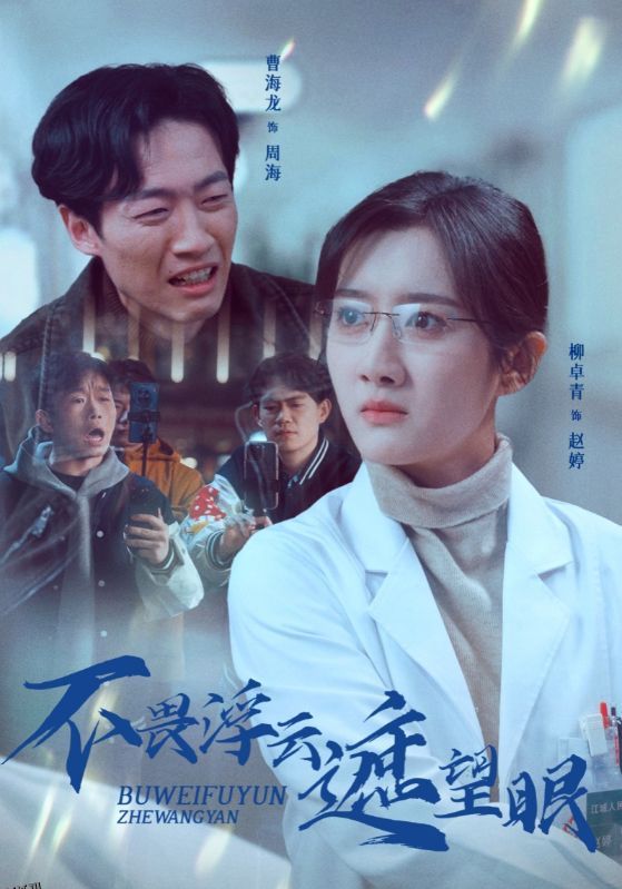 畏浮云遮望眼 海报