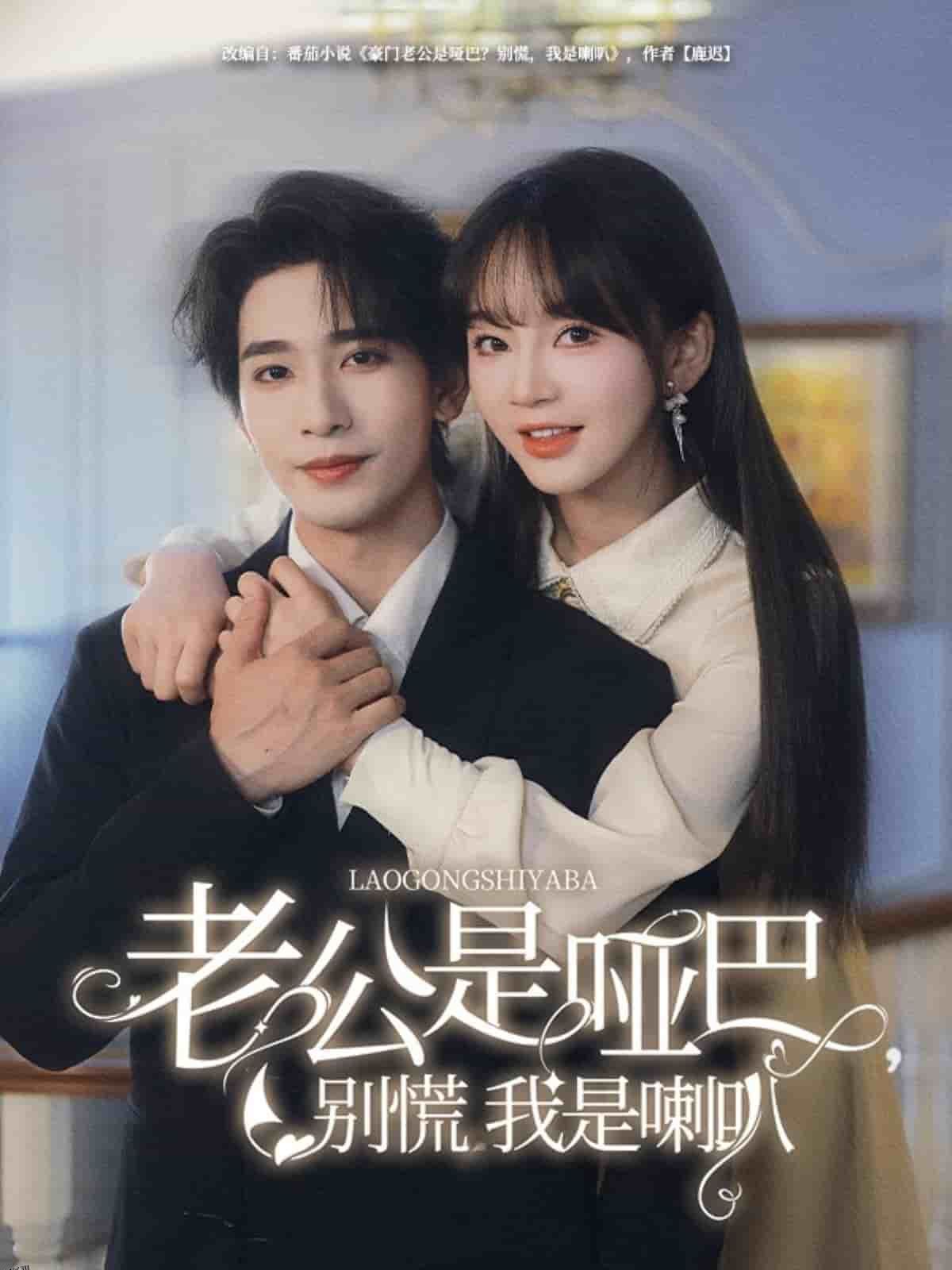 老公是哑巴，别慌我是喇叭 海报