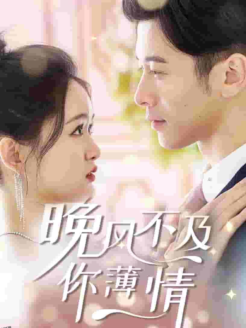 晚风不及你薄情 高清海报