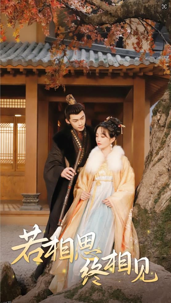 若相思，终相见 海报