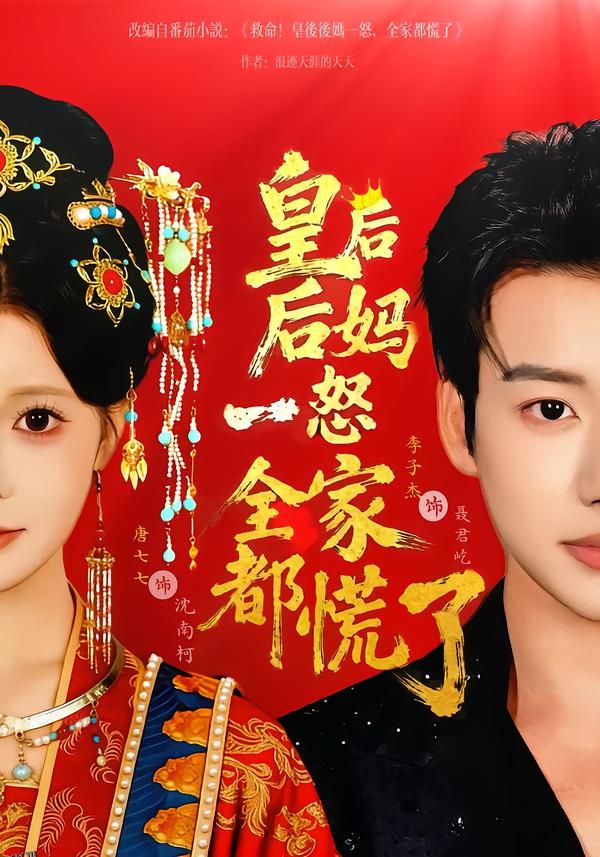 皇后后妈一怒全家都慌了 海报