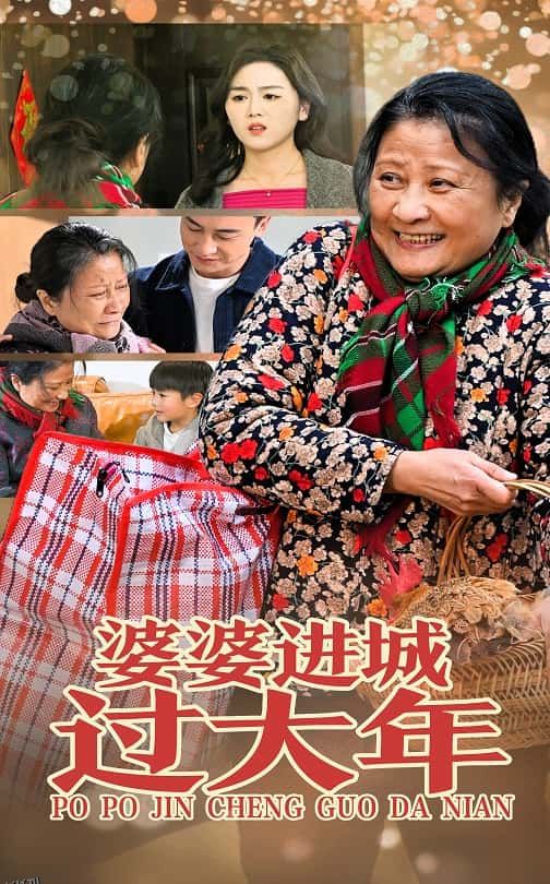 婆婆进城过大年 海报