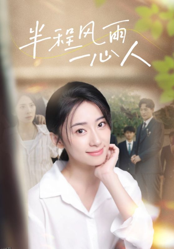 半程风雨一心人 海报