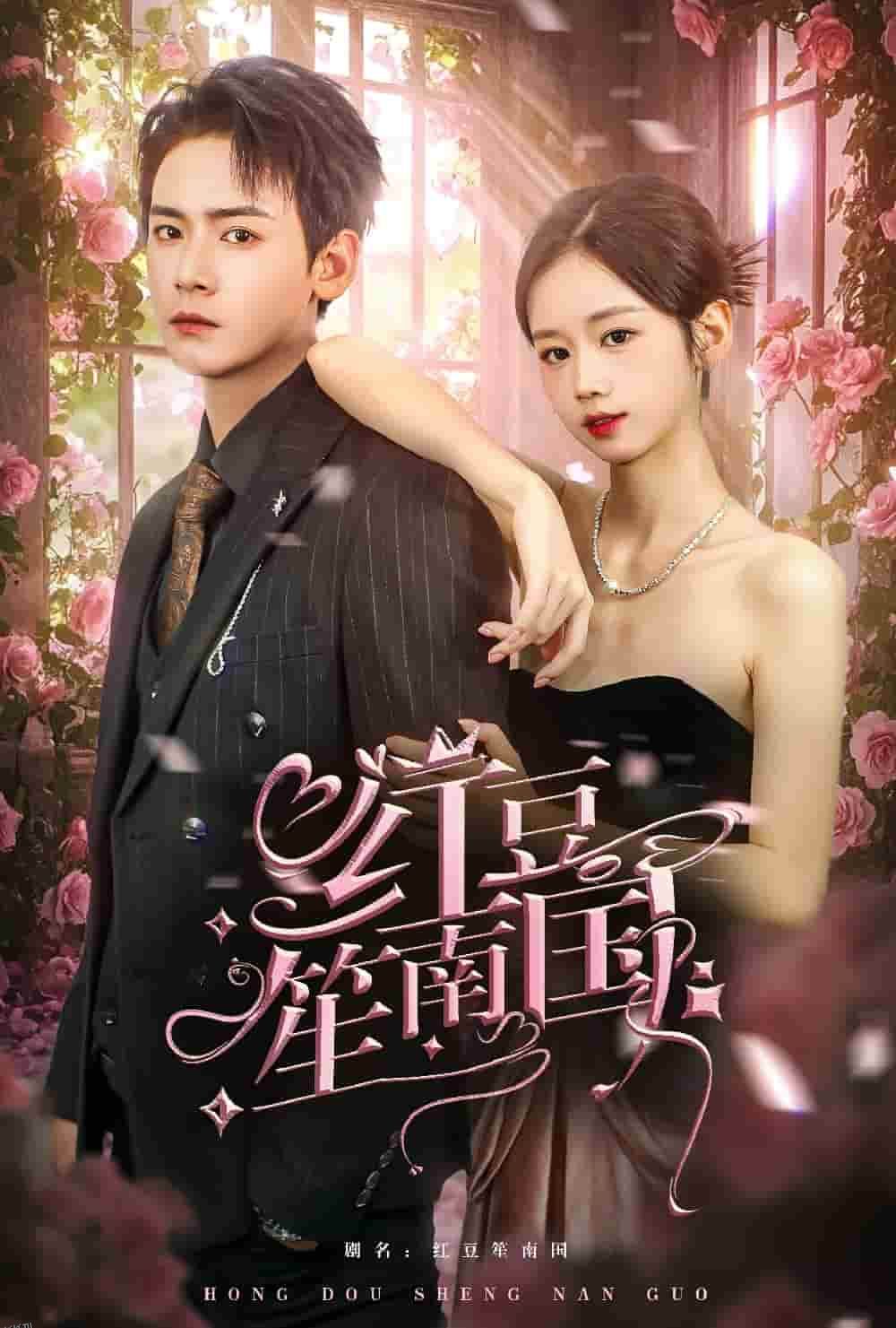 红豆笙南国 海报