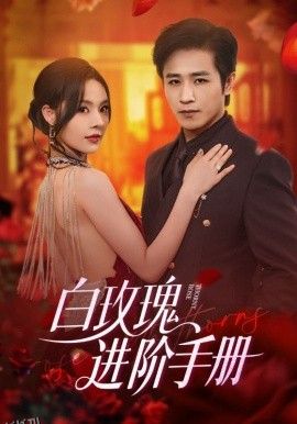 白玫瑰进阶手册 海报