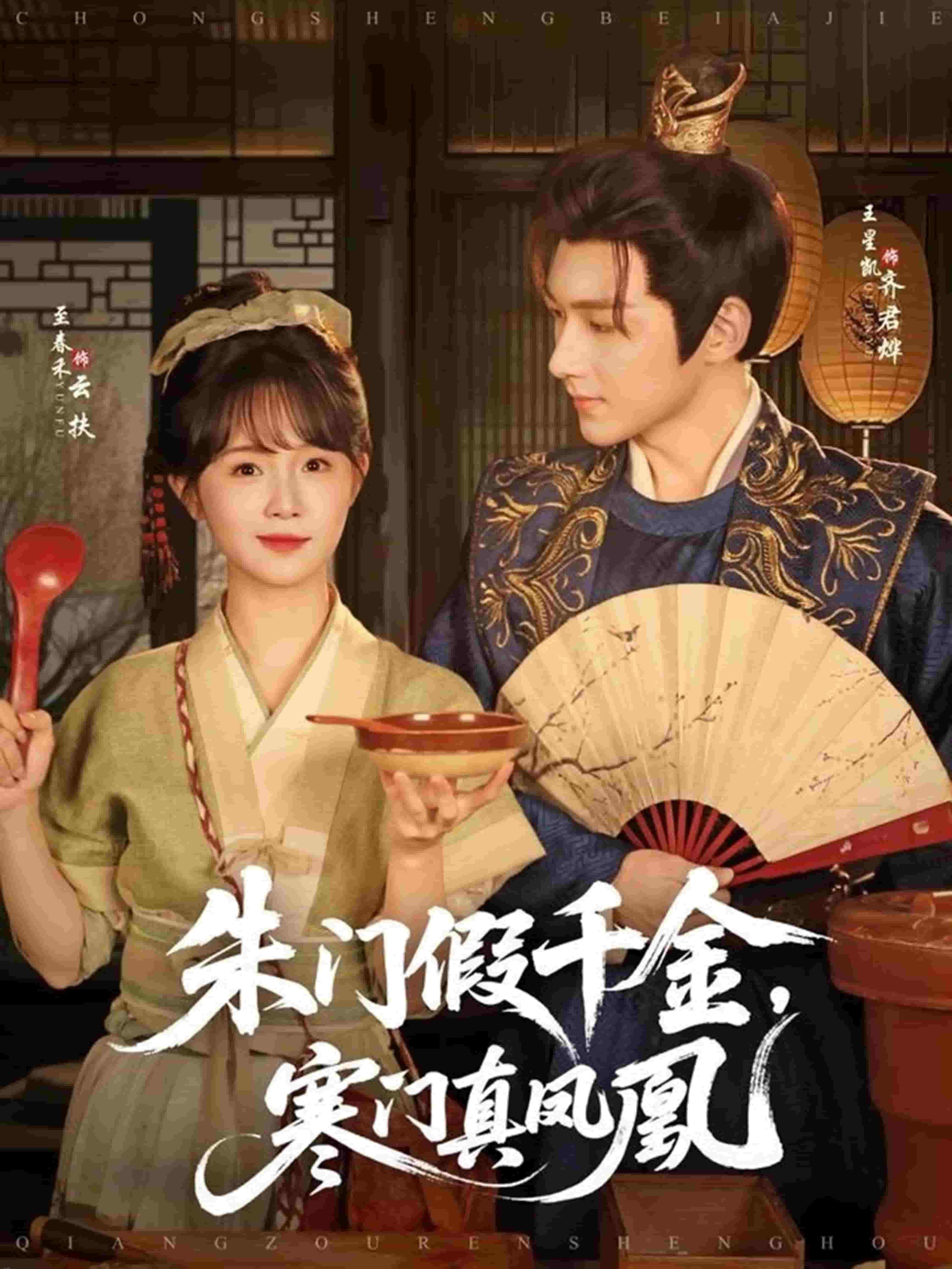 朱门假千金寒门真凤凰 海报