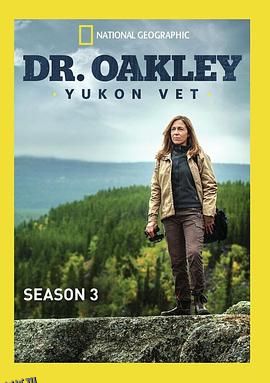 育空兽医第三季 海报