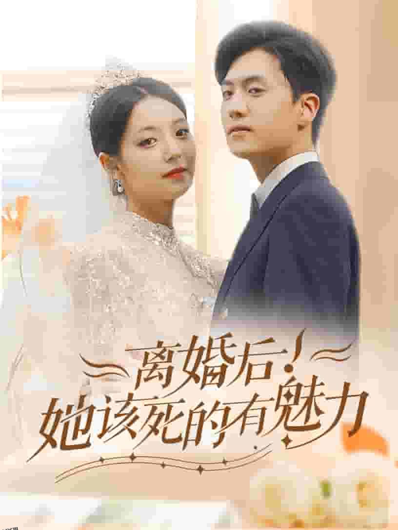 离婚后，她该死的有魅力 海报