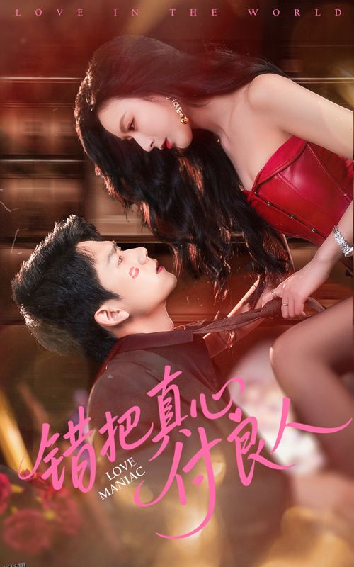 错把真心付良人 海报