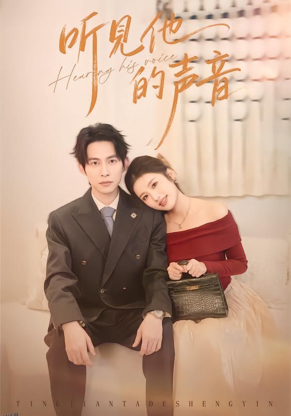 听见他的声音 海报