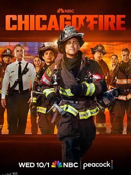 芝加哥烈焰第十四季 海报