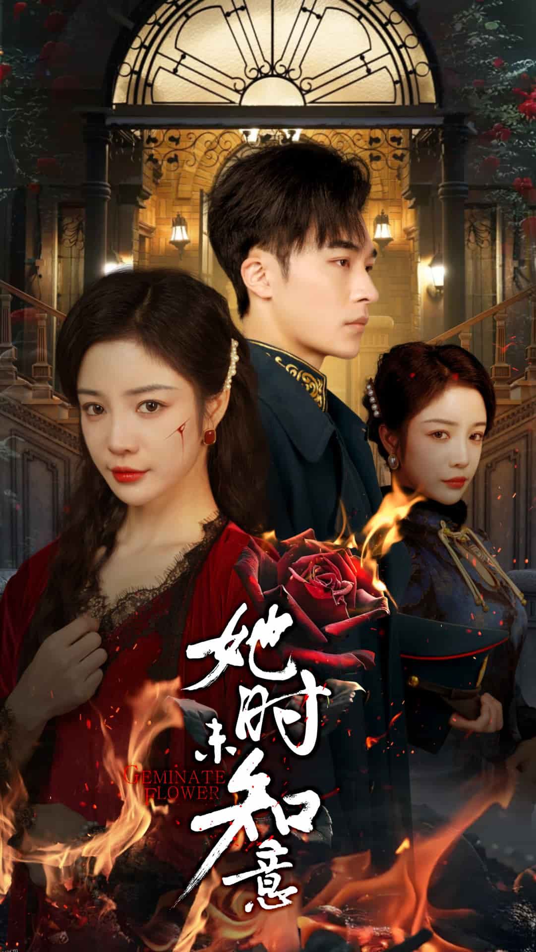 她时未知意 高清海报