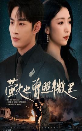 萤火也曾照微尘 海报
