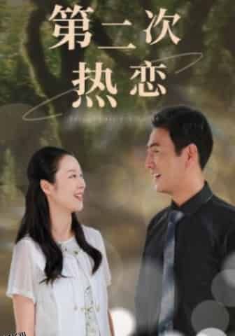 第二次热恋 海报
