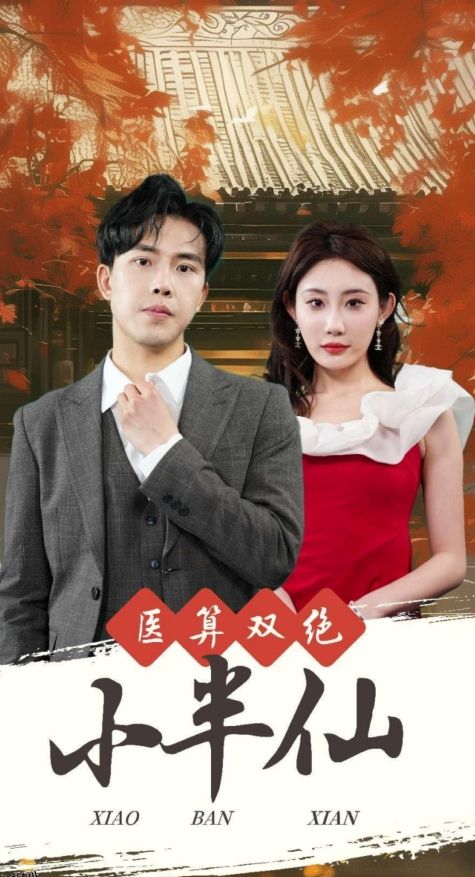 医算双绝小半仙 海报