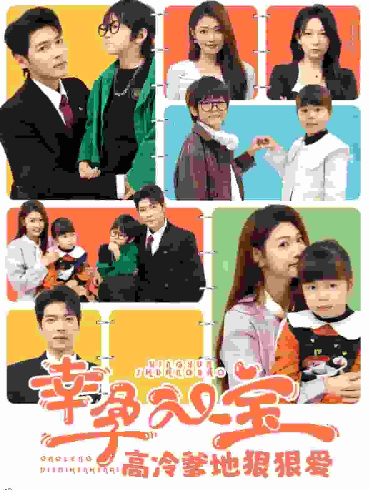 幸孕双宝高冷爹地狠狠爱 海报