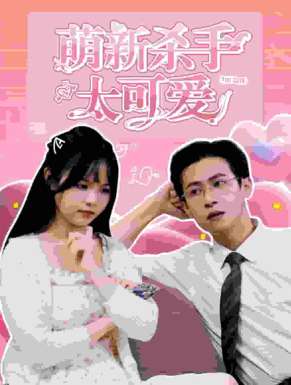 萌新杀手太可爱 海报