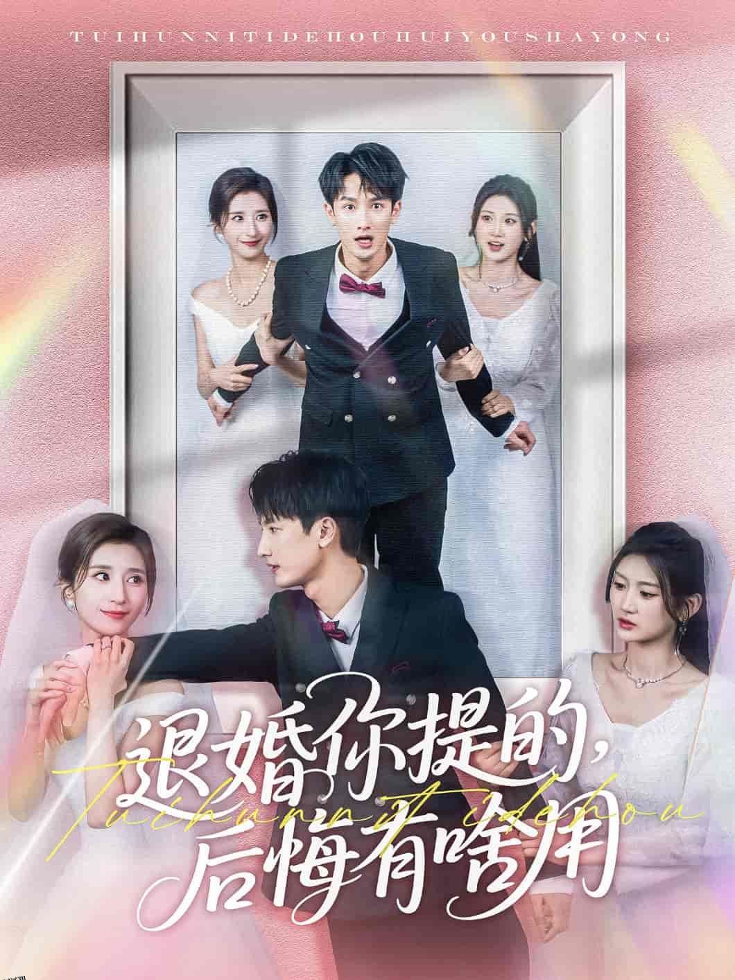 退婚你提的，后悔有啥用 海报