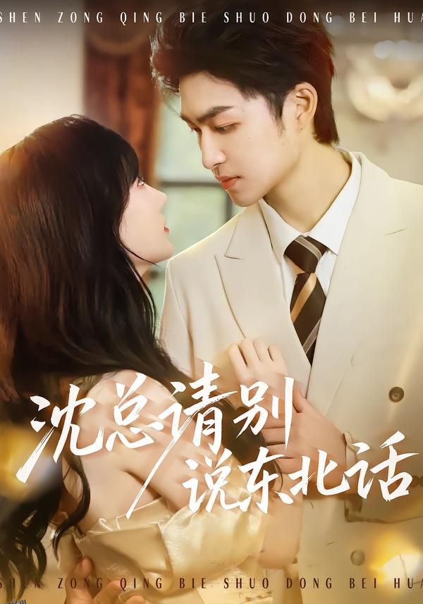 沈总请别说东北话 海报