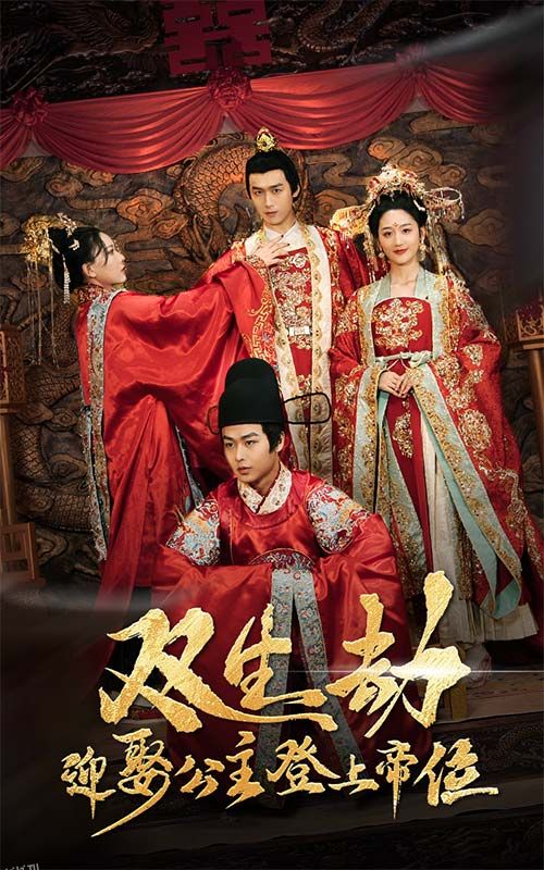 双生劫迎娶公主登上帝位 海报