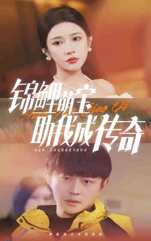 锦鲤萌宝助我成传奇 海报